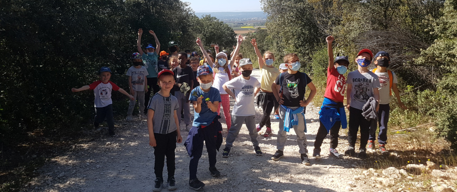 Sortie pédagogique dans la guarrigue